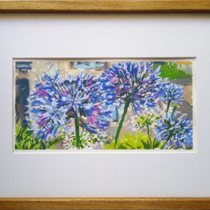 2020-54-Agapanthus-in-the-Dock-House-4